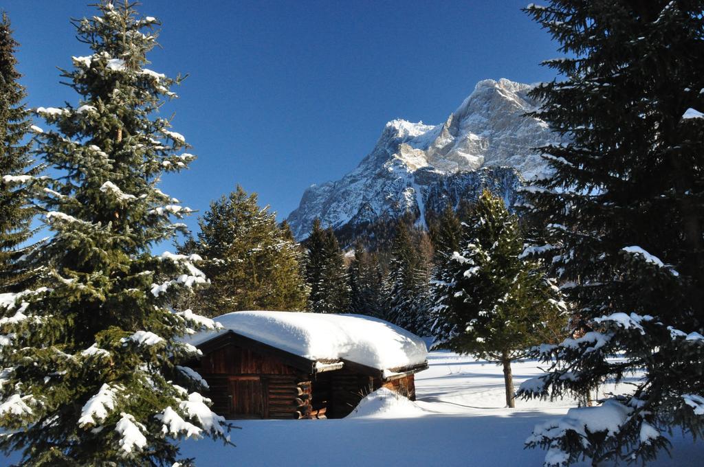 Hotel Alpen Residence Ehrwald Exteriér fotografie
